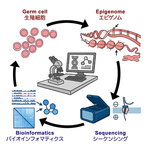 Overview of our lab in action