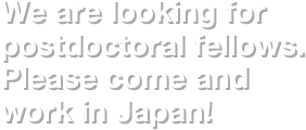 We are looking for postdoctoral fellows.
Please come and work in Japan!