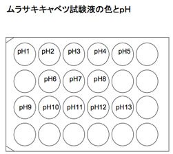 pHsheet.pdf
