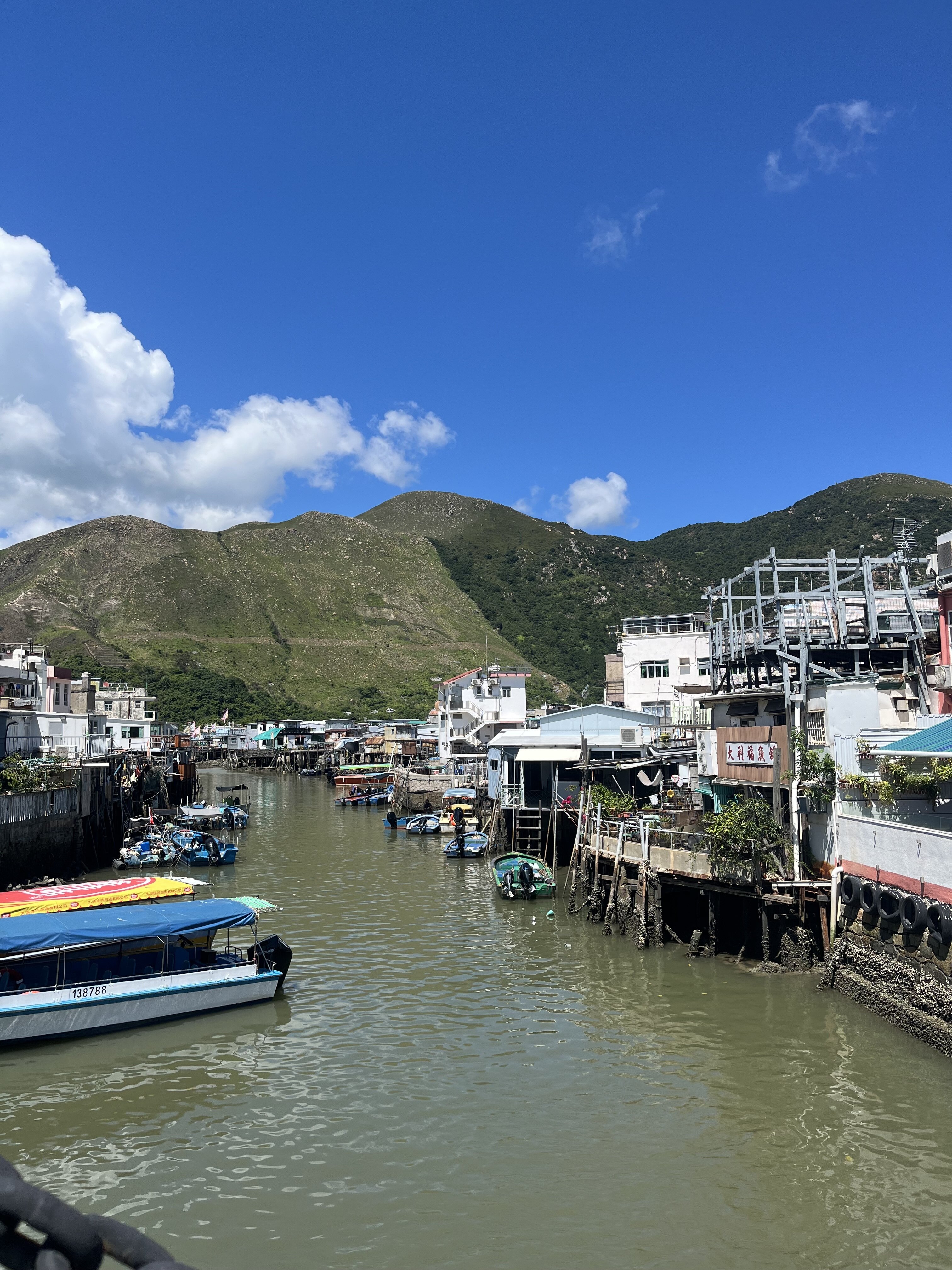 261056_原嶋杏果_2.jpeg