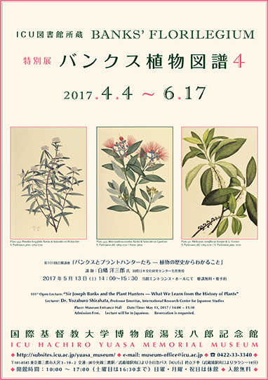 第107回特別展「ICU図書館所蔵　バンクス植物図譜4」